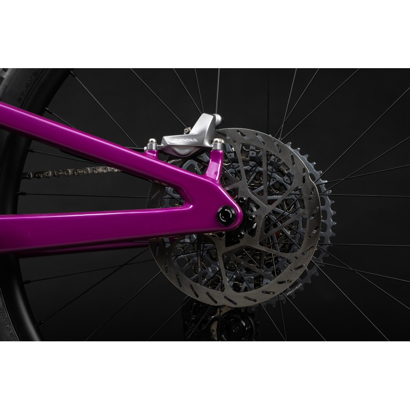 SANTA CRUZ HECKLER SL CC XX AXS RSV MX MATTE SILVER  XL