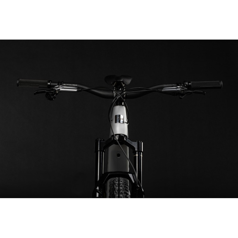 SANTA CRUZ HECKLER SL CC XX AXS RSV MX MATTE SILVER  XL