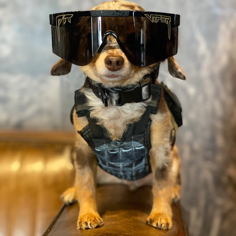 Pit Viper The Blacking Out 2000 Sunglasses - Ballistic Smoke Lens