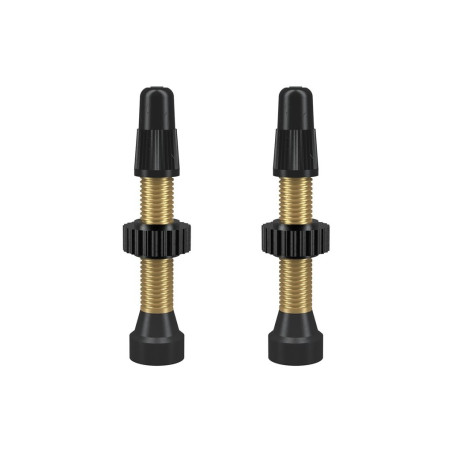 WTB TCS Brass Presta Valve 34mm 2 pcs