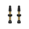 WTB TCS Brass Presta Valve 34mm 2 pcs