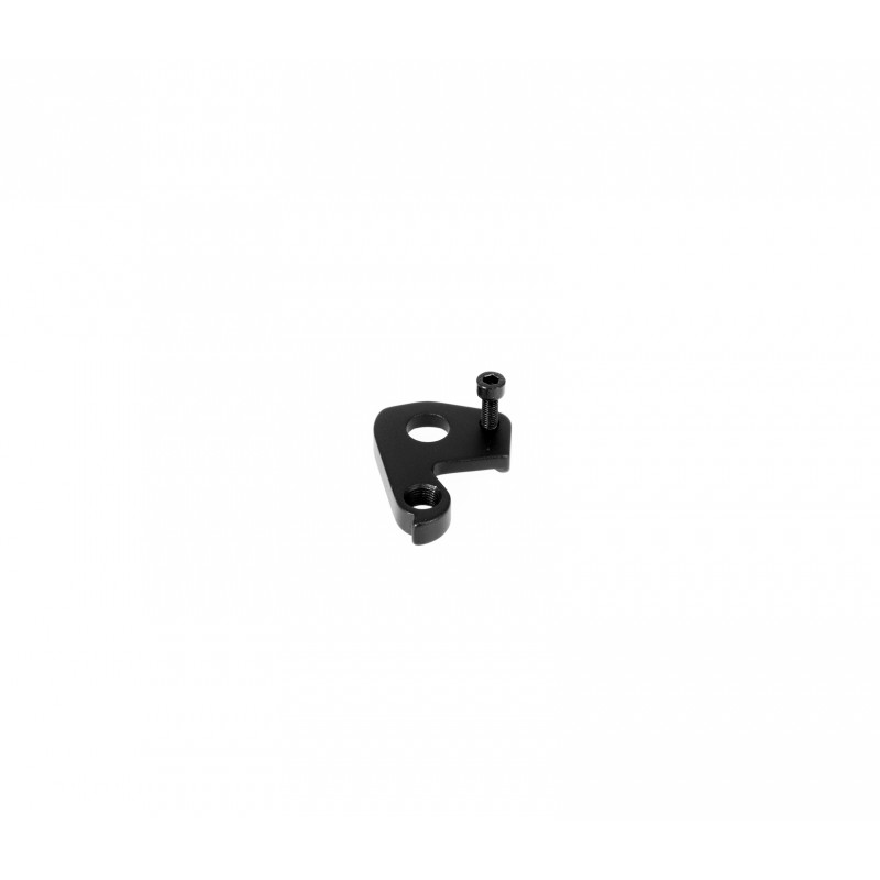 DERAILLEUR HANGER MTB STD X12 M5x14