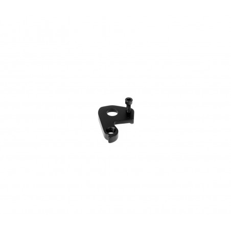 DERAILLEUR HANGER MTB STD X12 M5x14
